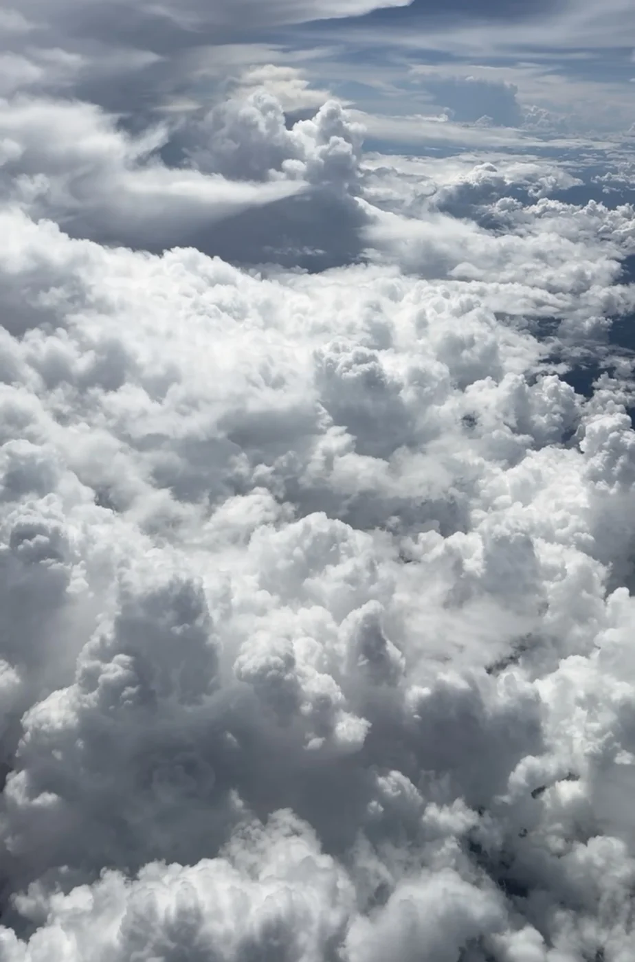 Sunlit clouds beneath a blue sky, photographed by Mindy Waite.